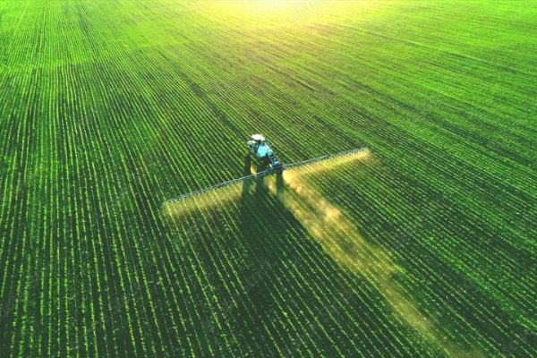 Kırklareli Lüleburgaz Satılık Arsa